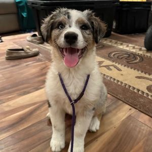 Meet your Posher, Jen